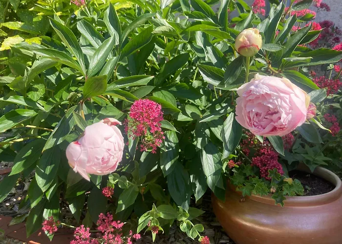 Logis Cote Jardin
