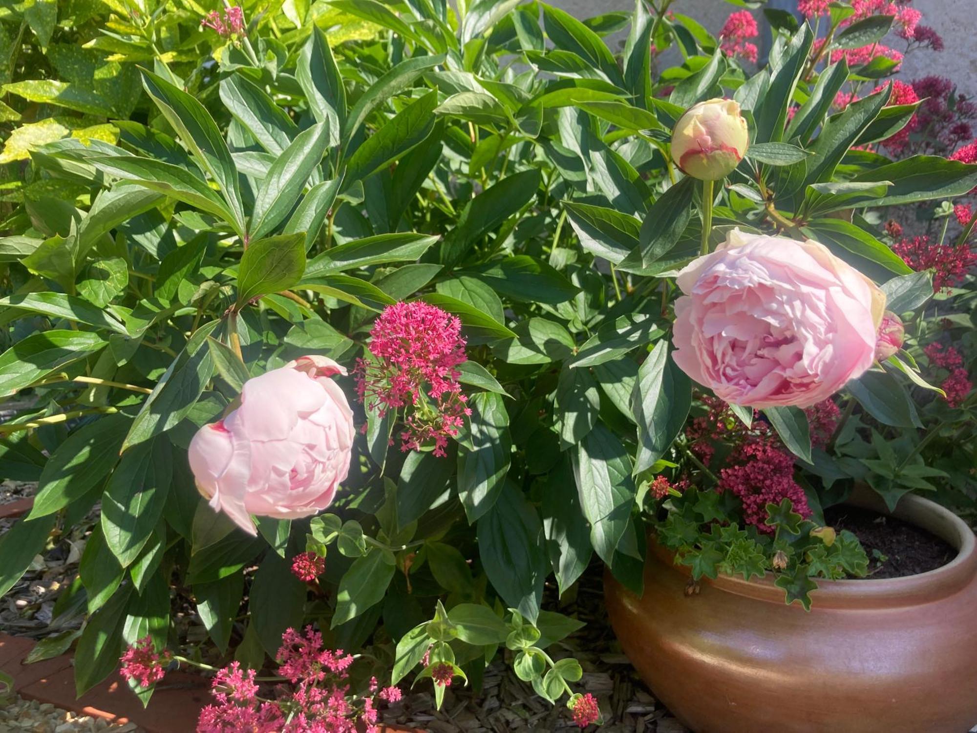 Hébergement de vacances Logis Cote Jardin Varennes-les-Narcy